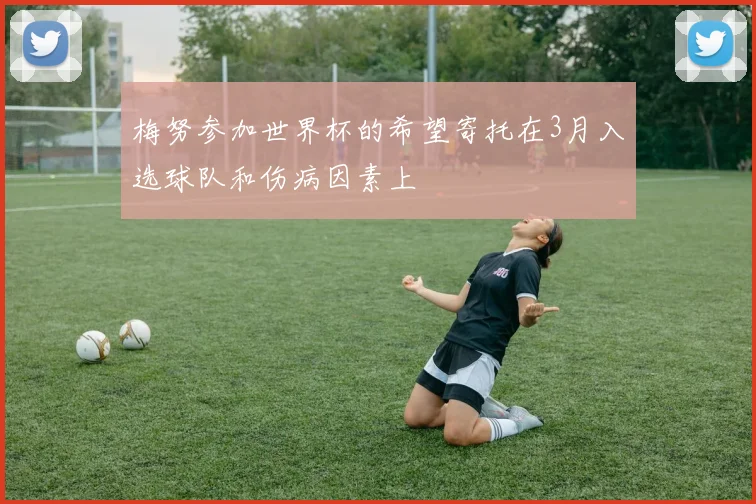 梅努参加世界杯的希望寄托在3月入选球队和伤病因素上